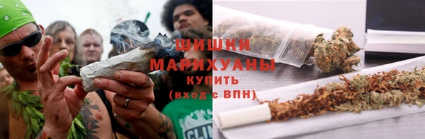 прущие грибы Верхнеуральск