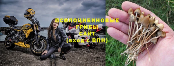прущий лед Верея
